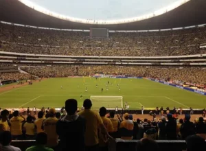 德篮甲激情,对决,特里尔雄狮,中国竞彩网,足彩竞猜,竞彩网,体彩竞猜